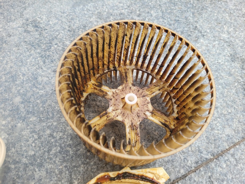 여수중